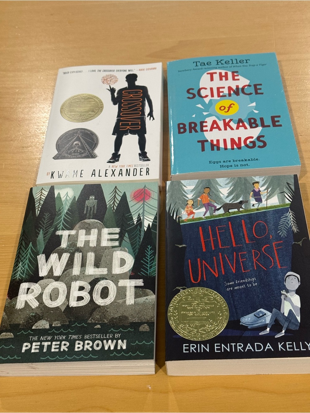 Lot of 4 Young Adult Books by Different Authors Paperback Brand New.